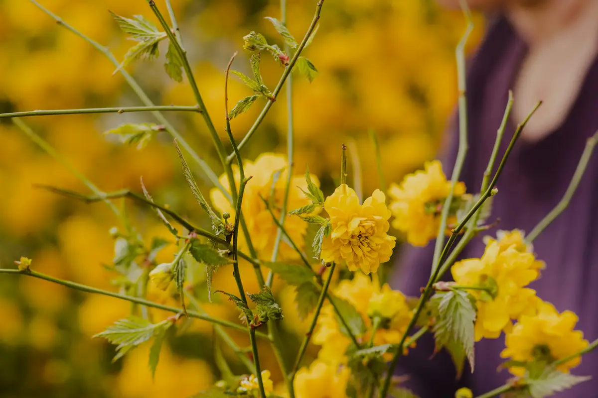 Real-World Results, Real-World Support